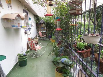 place photo 24