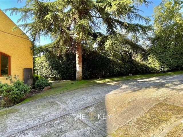 place photo 54