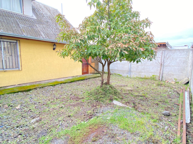 place photo 23