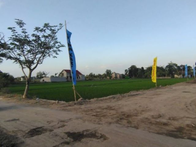 place photo 4