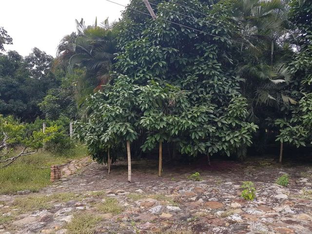place photo 28
