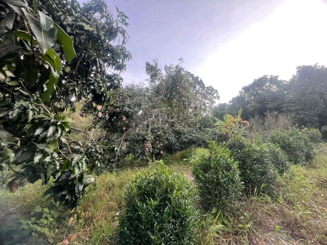 place photo 30
