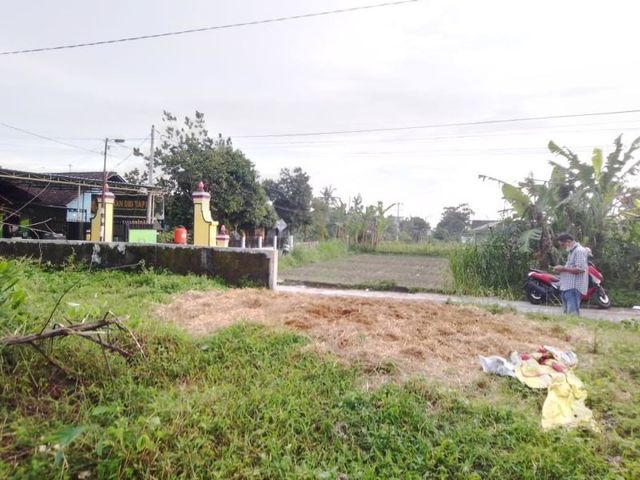 place photo 3
