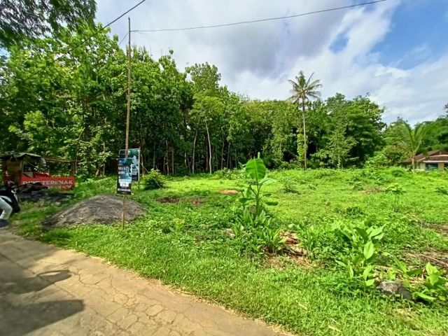 place photo 9