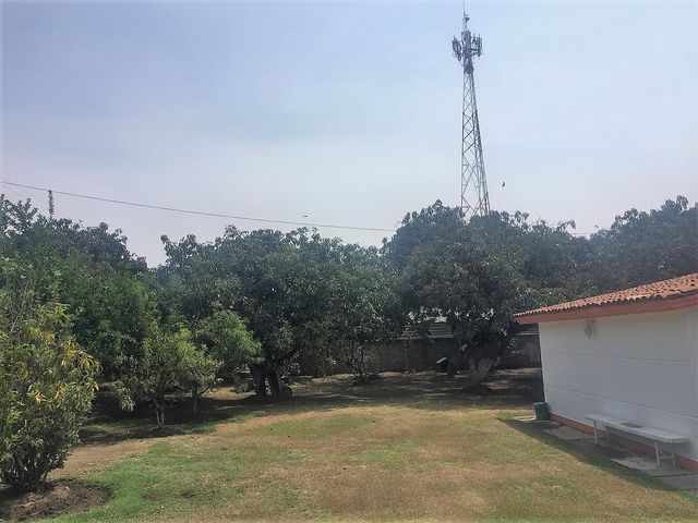 place photo 20