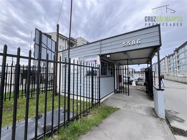 place photo 28