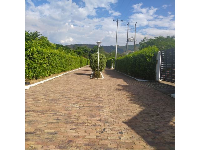 place photo 38