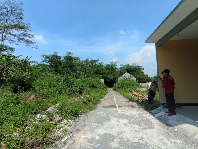 place photo 8