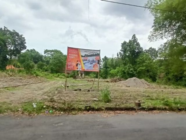 place photo 7