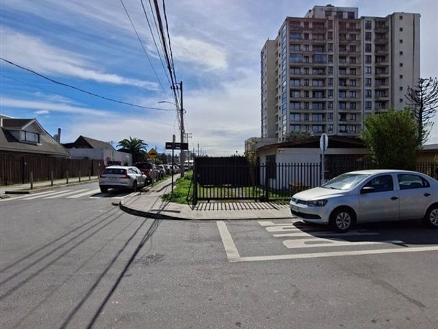 place photo 16