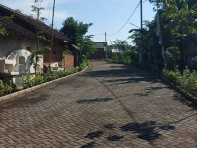 place photo 5