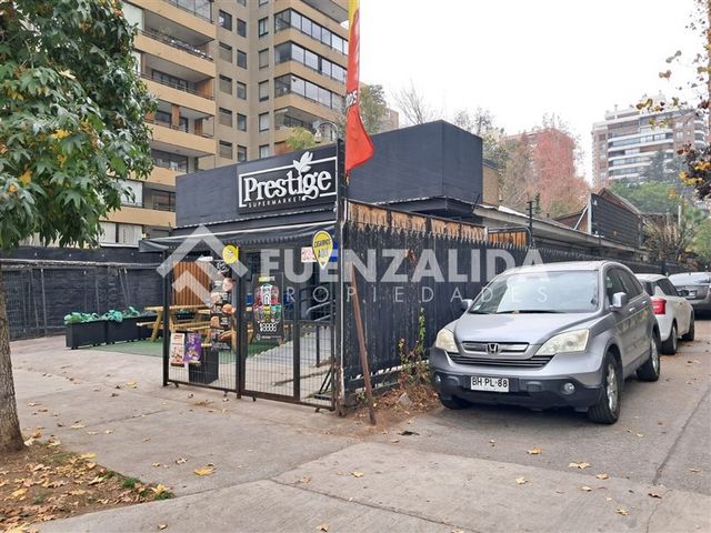 place photo 22