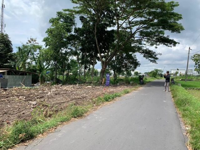 place photo 4