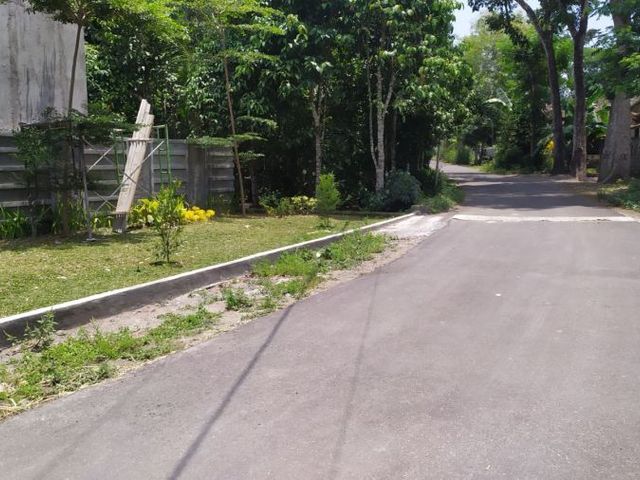 place photo 4