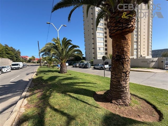 place photo 46