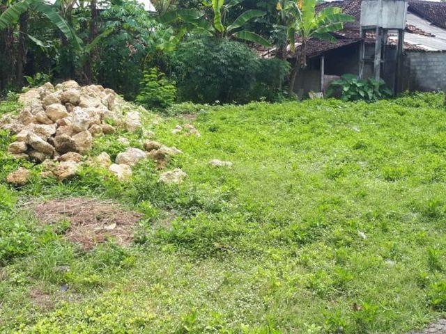 place photo 3