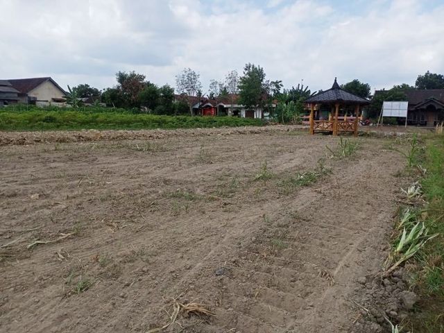 place photo 5