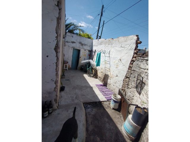 place photo 16