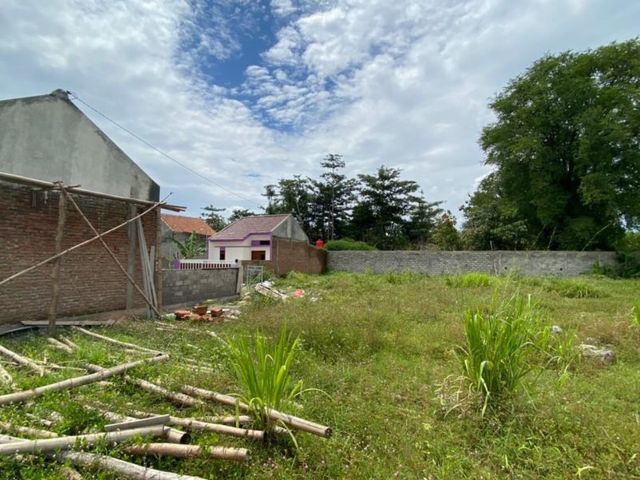 place photo 4