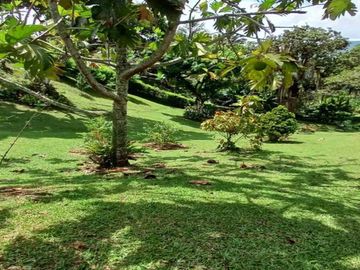 place photo 44
