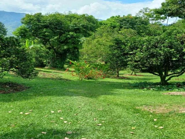 place photo 50