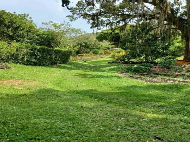 place photo 56