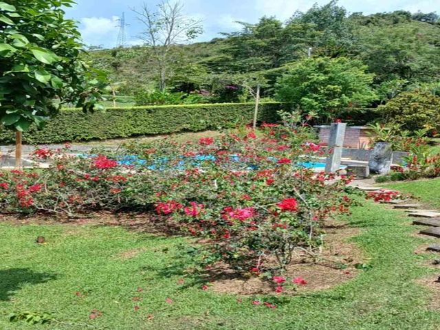 place photo 42