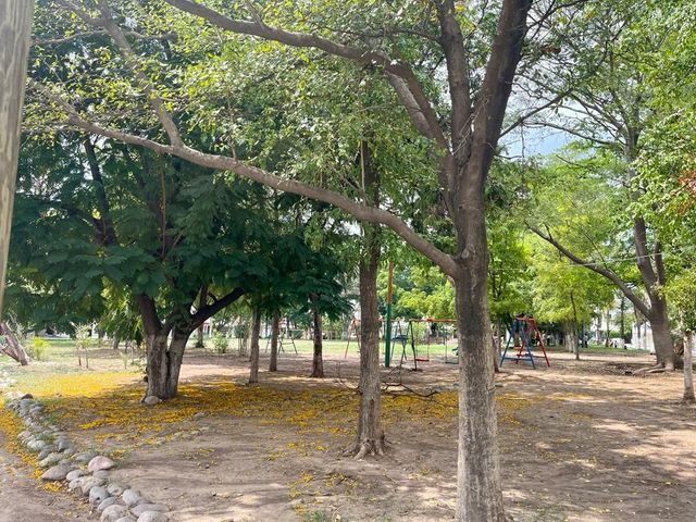 place photo 19