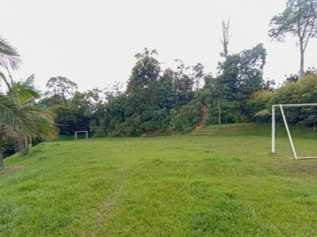 place photo 29