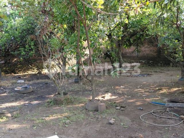 place photo 8