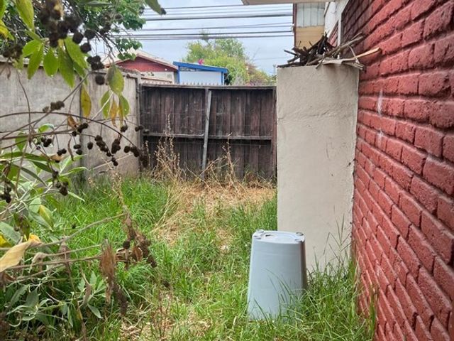 place photo 37
