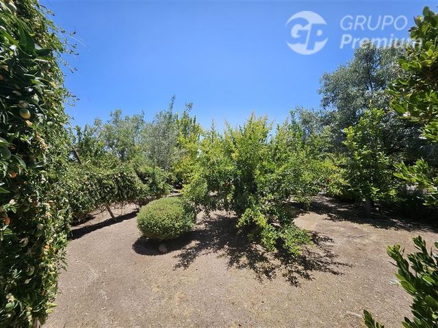 place photo 49