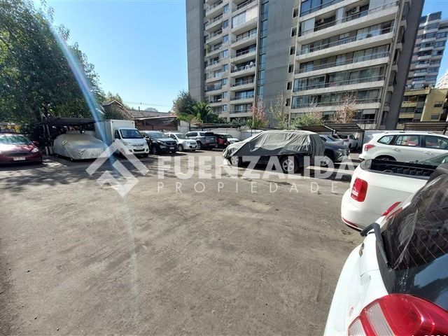 place photo 23