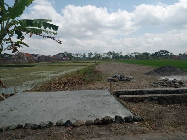 place photo 3