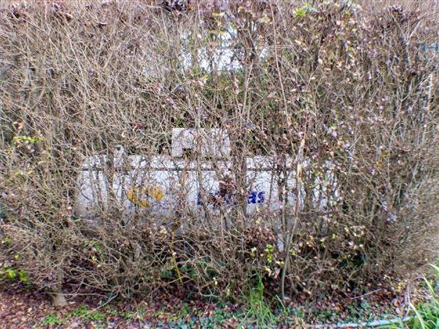 place photo 31
