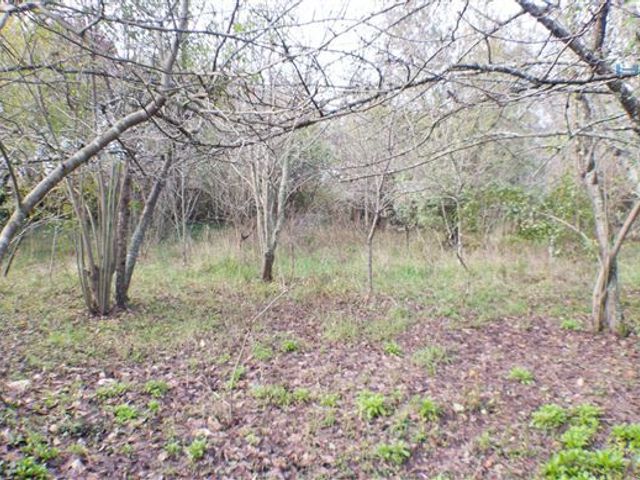 place photo 33