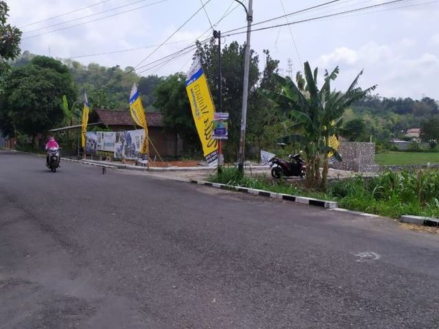place photo 5