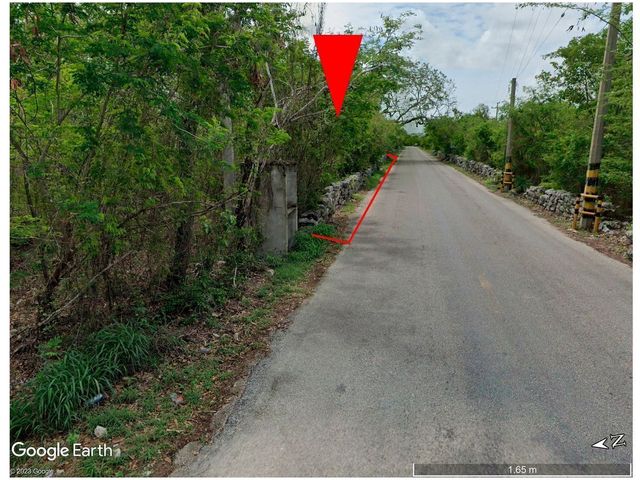 place photo 3