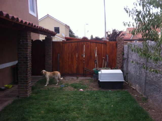 place photo 12