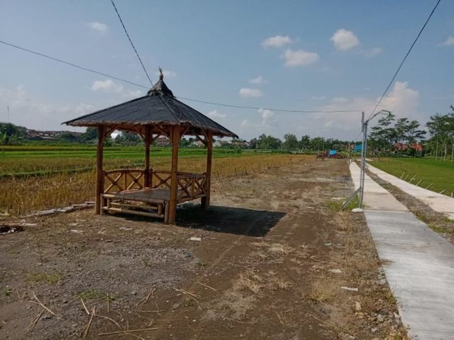 place photo 5