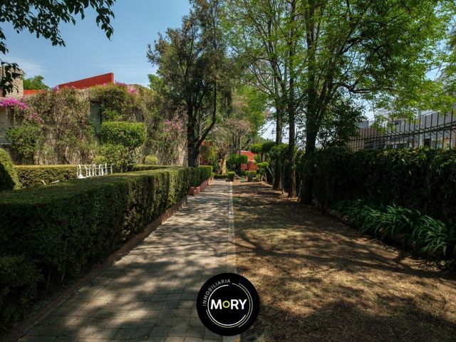 place photo 32