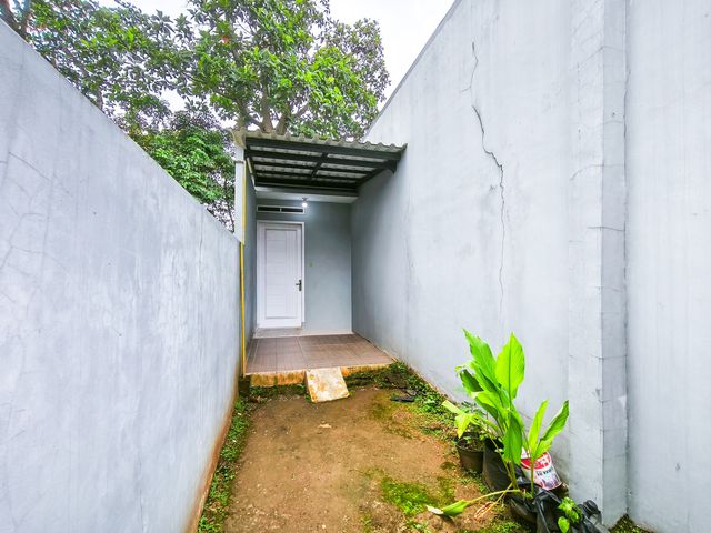 place photo 31