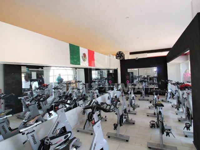 place photo 20