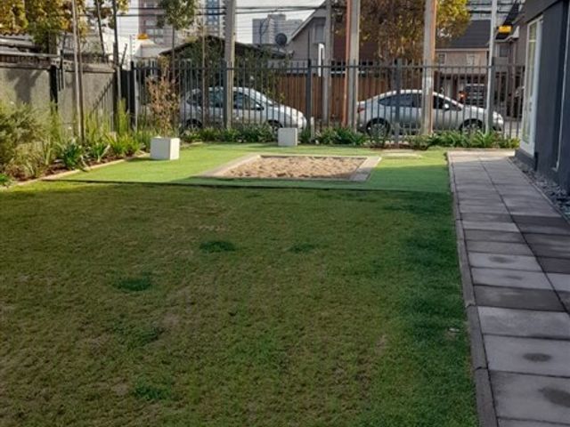 place photo 14