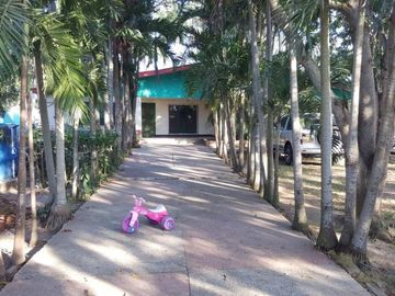 place photo 16