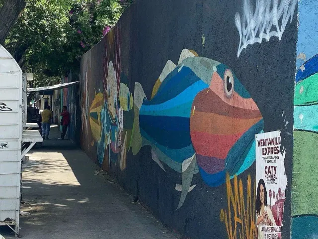 place photo 3