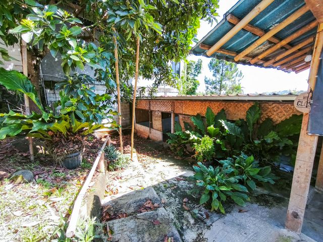 place photo 46