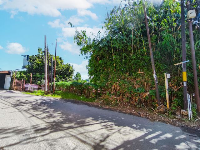 place photo 52