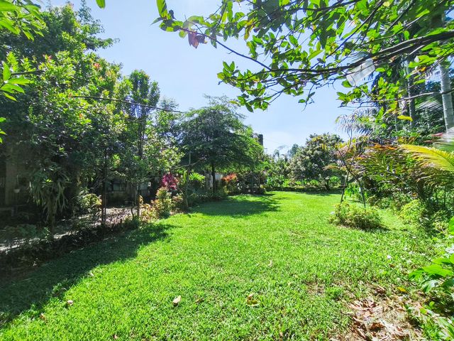 place photo 48