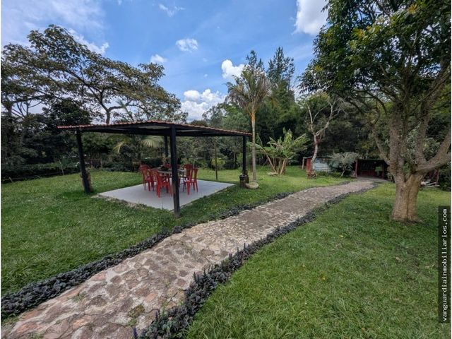 place photo 36